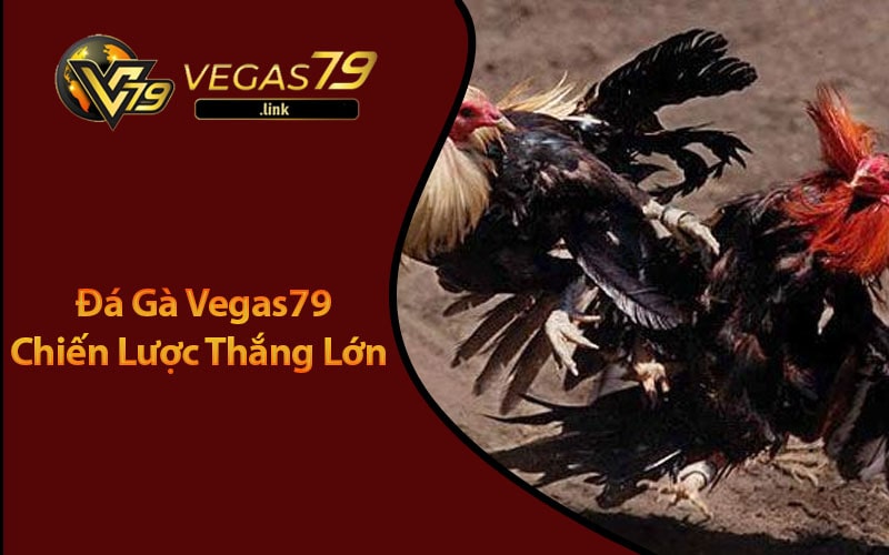 Cảm nhận sự căng thẳng và hồi hộp trong từng cú đá gà tại Vegas79